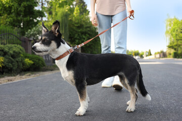 Woman walking her cute dog on city street, closeup