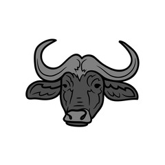 Bufallo Design Very Cool