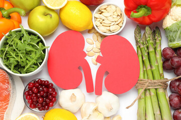 Paper cutout of kidneys and different healthy products on white background, flat lay
