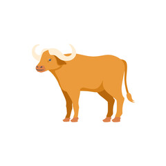 Bufallo Design Very Cool