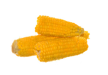 corn isolated on a white background