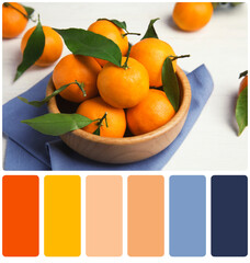 Color matching palette. Fresh ripe tangerines in bowl on table