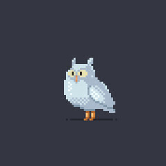 Fototapeta na wymiar white owl in pixel art style