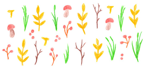 Set of autumn mushrooms, plants and branches hand drawn with colored pencils isolated on white background