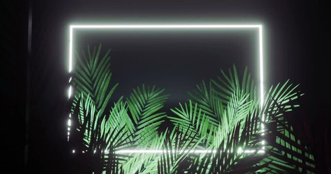 Animation of leaves over white neon rectangle on black background
