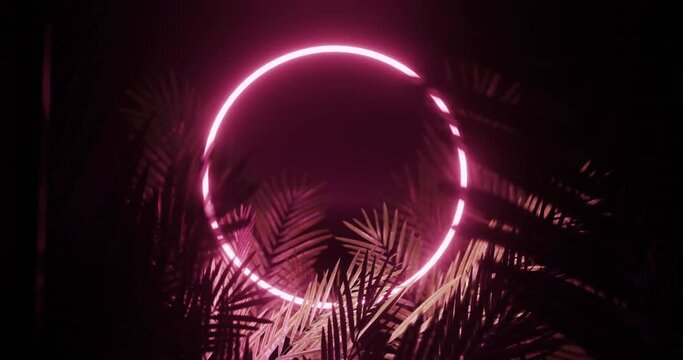 Animation of leaves over pink neon circle on black background