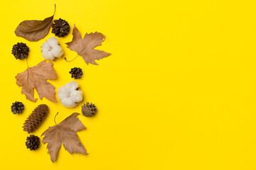 Flat lay composition with autumn leaves on color background, top view