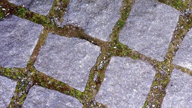 Old bricklaying close up. Granite texture. Old paving stones. Paving tiles.