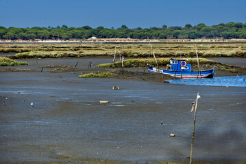 Obraz premium colorful boat resting on the mud at low tide near Setubal, Portugal