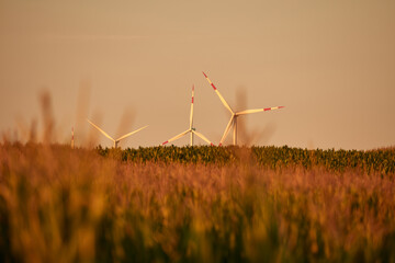Windmill farm park and turbines for producing green electricity.