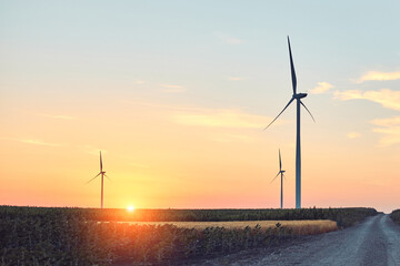 Windmill farm park in silhouettes with colorful sky.