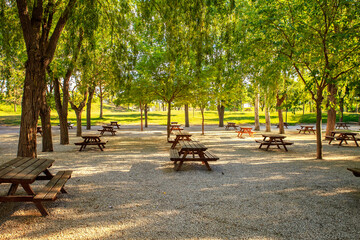 rest area in the shade of the trees with picnic tables - obrazy, fototapety, plakaty