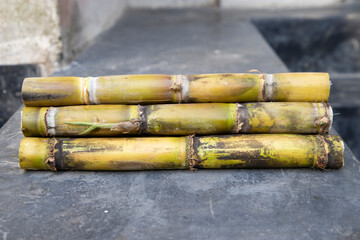 some  fresh  sugar cane slices of   row on the floor    