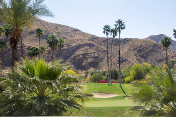 A public golf course in the middle of a California desert