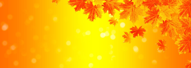 autumn landscape with bright colorful foliage. Indian summer.