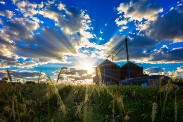 Grain silo with vegetation in the foreground at sunset with blue sky with clouds © Pedro Turrini Neto