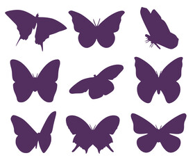 Set of twelve butterfly silhouettes. Entomological collection of butterflies