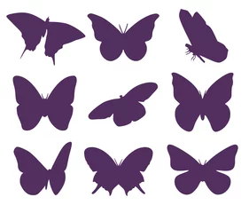 Fotobehang Vlinders Reeks van twaalf vlindersilhouetten. Entomologische verzameling vlinders