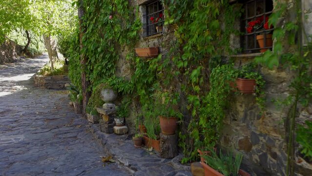 Beautiful old houses covered with ivy in medieval village. Patones de Arriba Madrid.