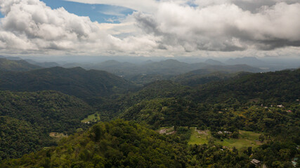 Fototapeta na wymiar Aerial view of green forest and jungle on the slopes of the mountains of Sri Lanka.