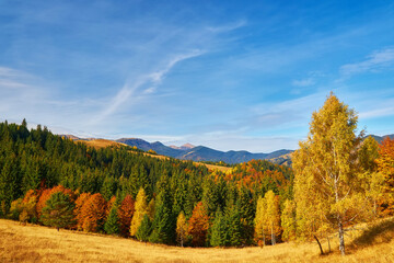 Fototapeta premium mountain autumn landscape with colorful forest