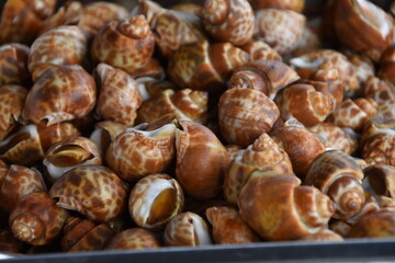 close up of coffee beans