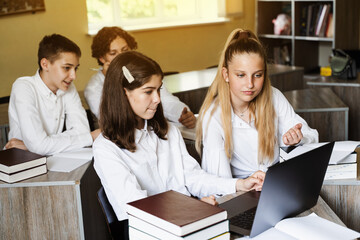 Children in school at geography lesson with globe study online on laptop and discuss different...