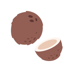 Fresh coconut with coconut half. Exotic and tropical fruit. Healthy food. Vector illustration in flat style