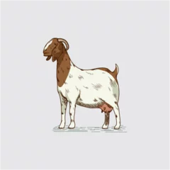 Fotobehang Illustration of a goat © Muhammad