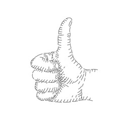 Boceto de mano aprobando. Dibujo de mano minimalista. OK. 