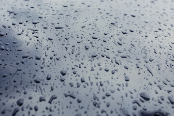 Natural Wooden and Stone Textures in Grey Colors