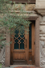 Beautiful vintage wood doors in stone wall and olive tree