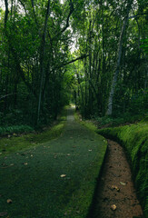 camino