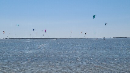 seagulls on the sea, kiten