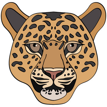 Leopard head illustration, sport mascot or team logo in flat style. Cartoon image in vector graphics.