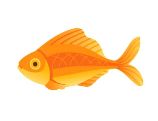 Fotobehang Exotic tropical aquarium fish gold fish vector illustration isolated on white background cartoon animal design © An-Maler