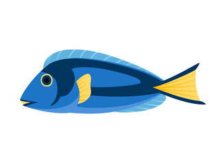 Exotic tropical aquarium fish blue tang vector illustration isolated on white background cartoon animal design