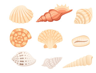 Set of Colorful tropical underwater shell cartoon design vector illustration isolated on white background