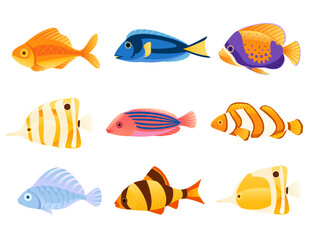 Naklejka premium Set of Exotic tropical aquarium fishes vector illustration isolated on white background cartoon animal design