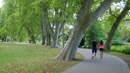 Fototapeta na wymiar junges paar joggt im Stadtpark im Schatten einer Platanenallee