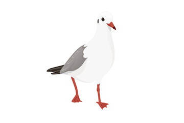 Cartoon style seagull bird vector animal design illustration on white background