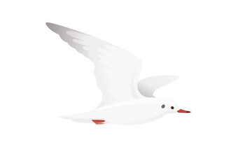 Cartoon style seagull bird vector animal design illustration on white background