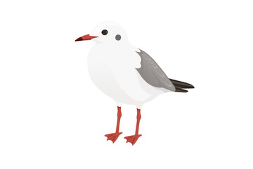 Cartoon style seagull bird vector animal design illustration on white background