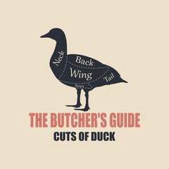 Fototapeta na wymiar Set for cuts of meat. Scheme and diagram of the butcher poster - duck.Vector illustration