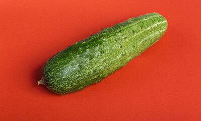 fresh cucumber closeup on red background