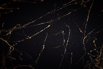 Gold and black marble art pattern. Textured abstract background.