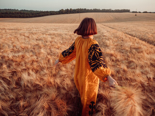 portrait of young woman in Ukrainian traditional clothes walking across golden field, holding heap of rye by sunset light