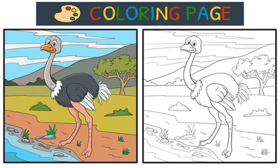 coloring page or book with ostrich in the forest