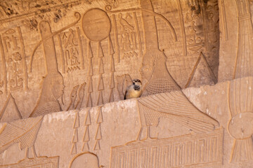 Temple of Dendera in Qena, Egypt