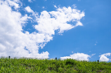 夏の日の青空と自然風景